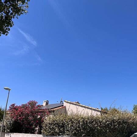 Villa Des Romieux Pinet  Kültér fotó